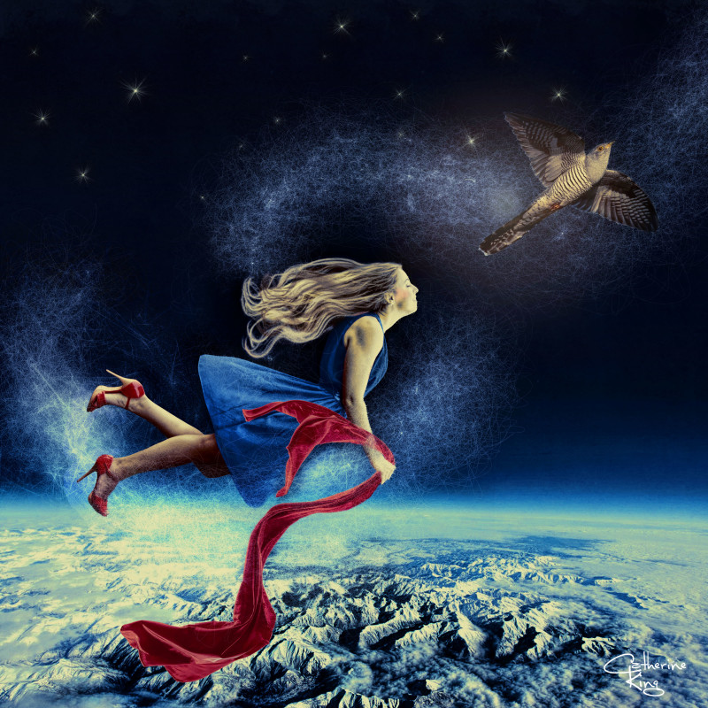 Flying in Ruby Heels by Catherine King