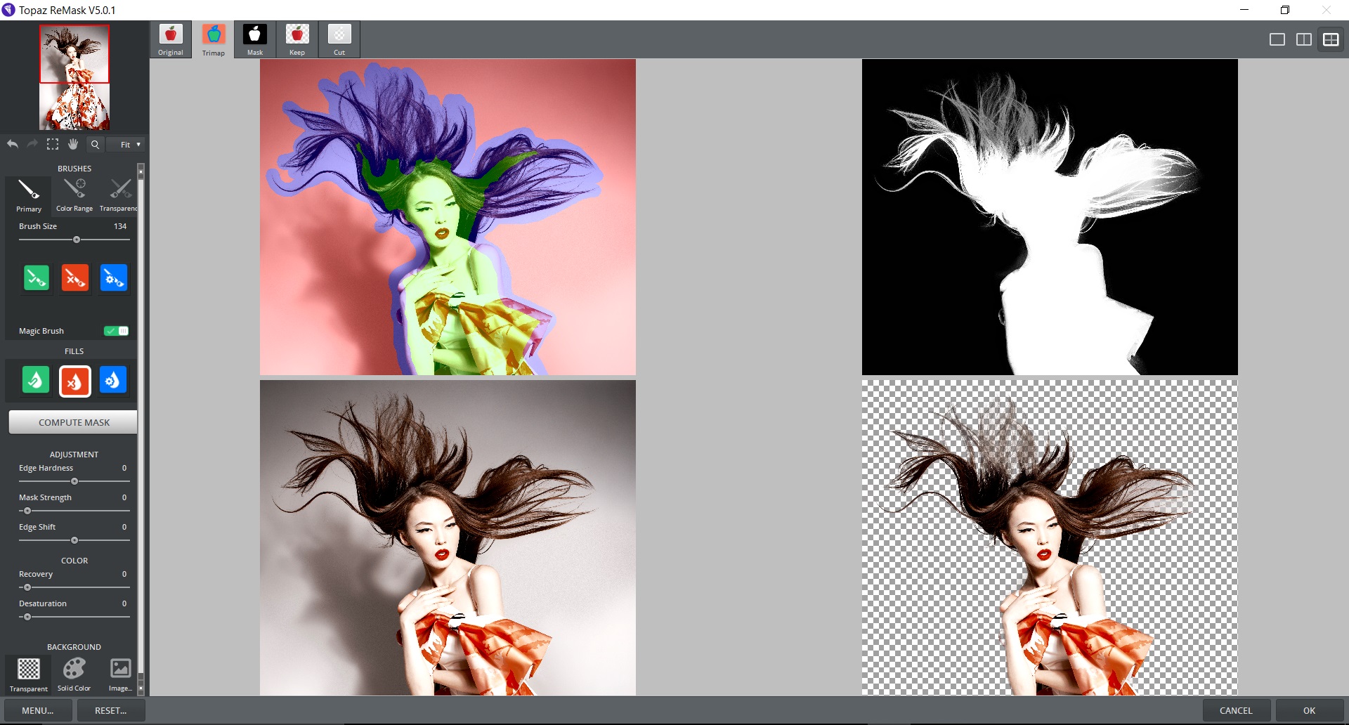 Remask Extracting Models with Topaz Labs ReMask