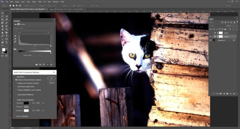 Correcting Color Using Auto Options in Photoshop - Part 2