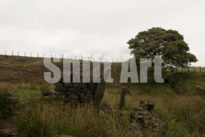 Apocalyptic Yorkshire