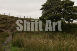 Apocalyptic Yorkshire