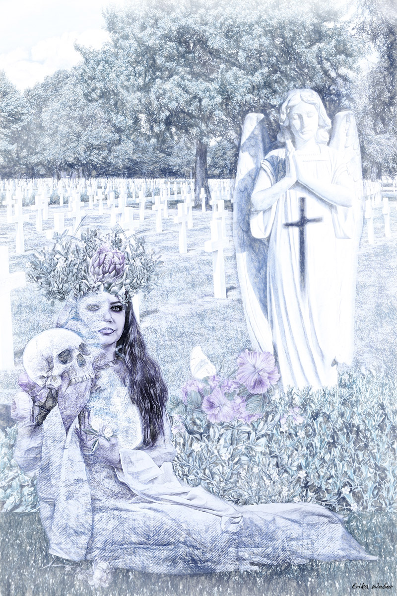 challenge-feb-2019-death-came-upon-me-by-erika-weber