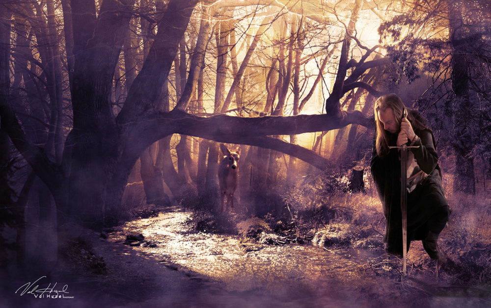 challenge-feb-2019-lost-in-the-woods-by-val-huzel