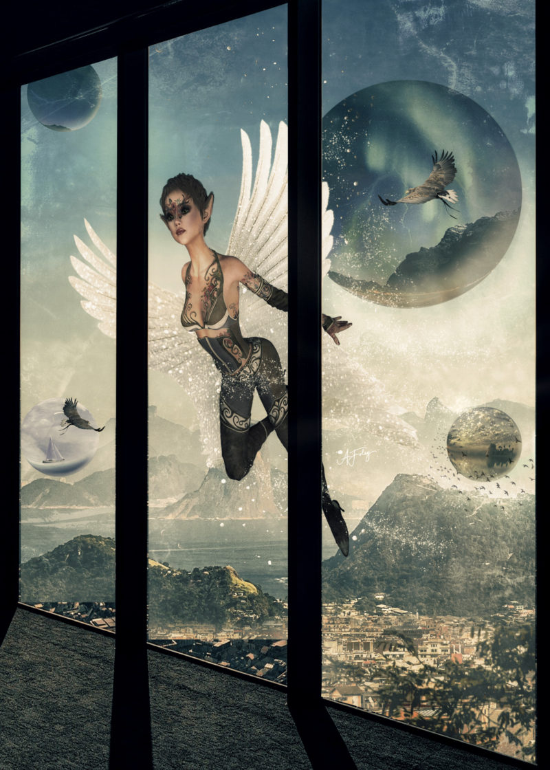 Fly Home by Audrey F