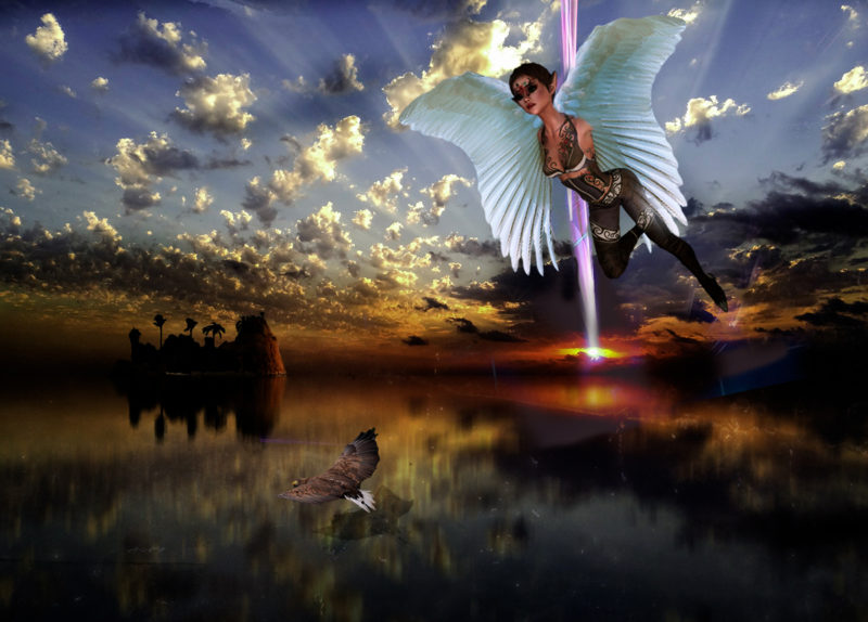 Free as a Bird by Frank P