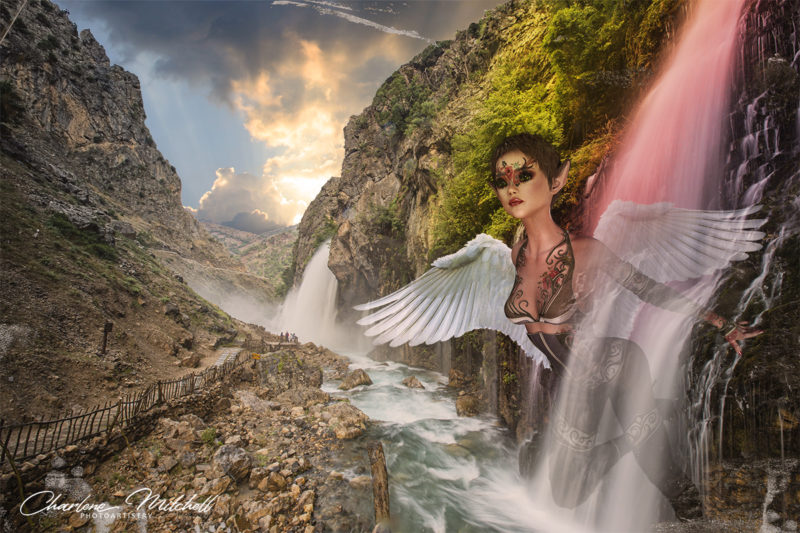 Healer by Charlene M