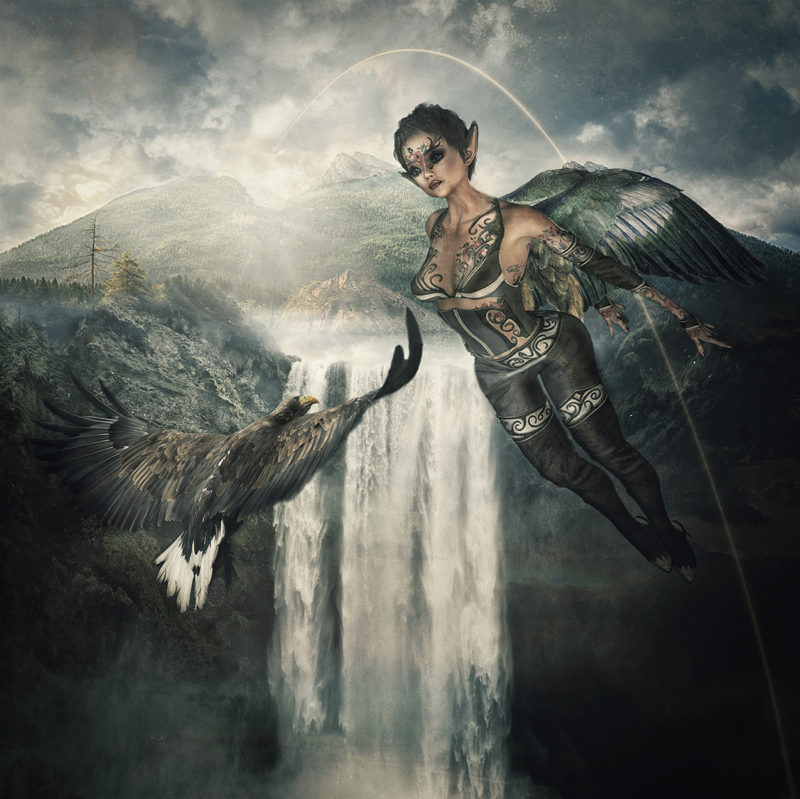 Soaring with an Eagle by Karen W