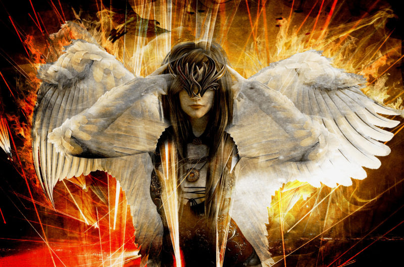 The Shapeshifter Warrior by Nancie R