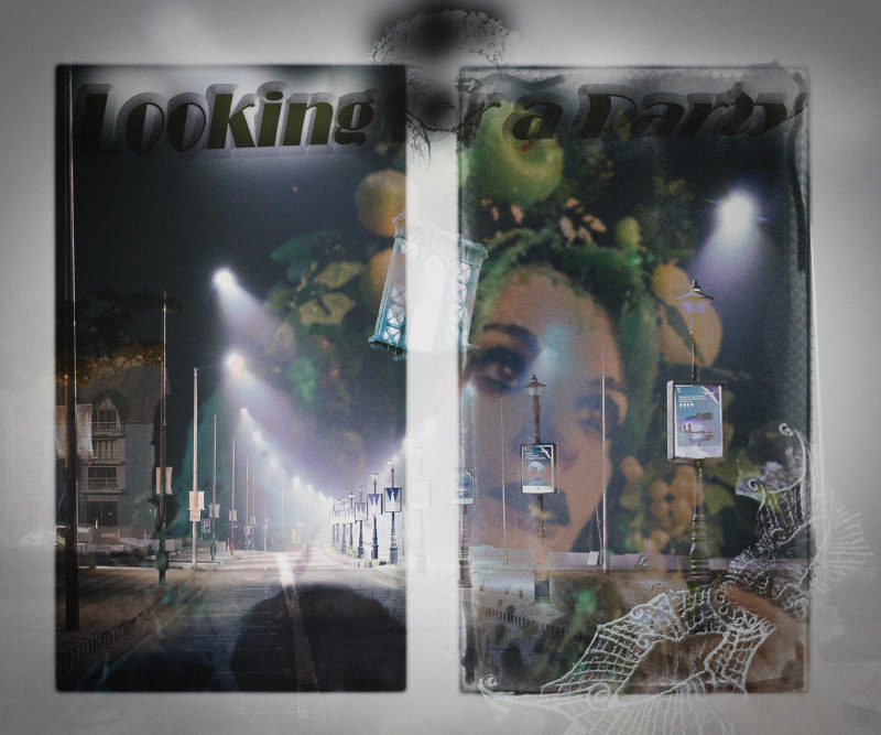 challenge-oct-2020-party-animals-by-p-fern-phillips