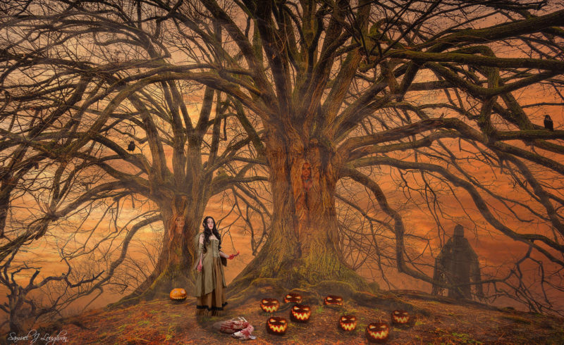 challenge-nov-2020-among-the-scary-wood-by-sam-loughran