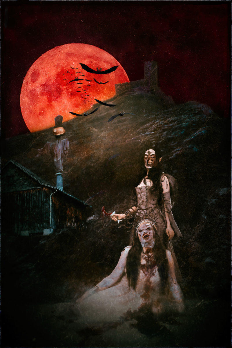 challenge-nov-2020-friends-forever-by-thomas-thies