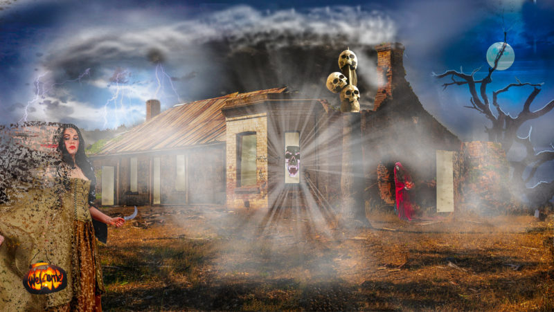 challenge-nov-2020-hallo-scream-by-steve-pulley