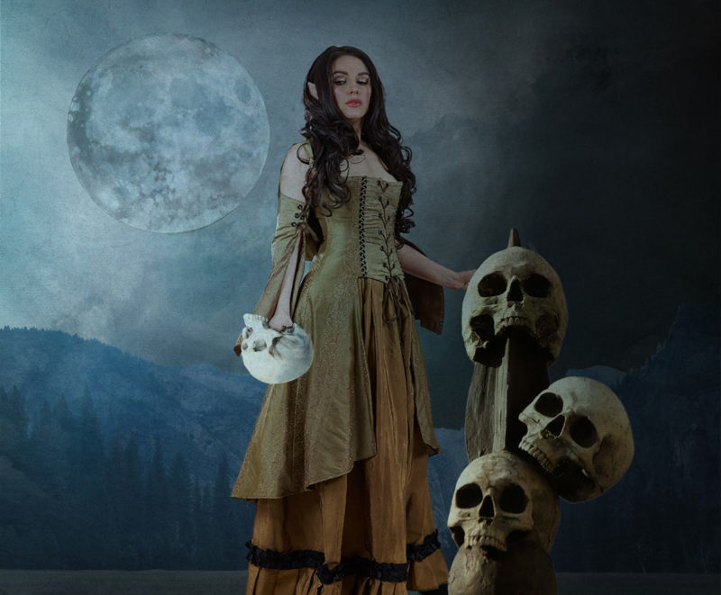 challenge-nov-2020-midnight-visit-by-anne-lou-robkin