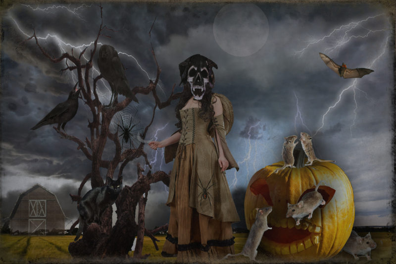 challenge-nov-2020-night-fright-by-ingrid-pomeroy