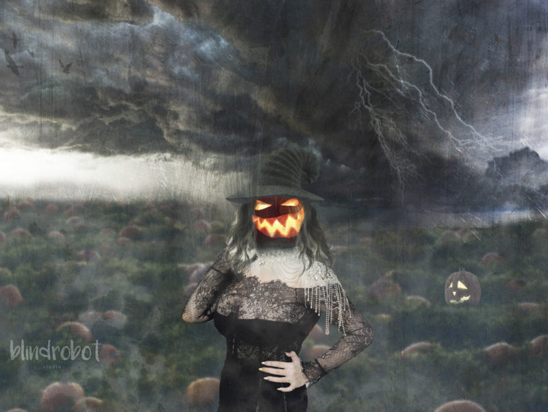 challenge-nov-2020-pumpkin-patch-by-ron-westphal