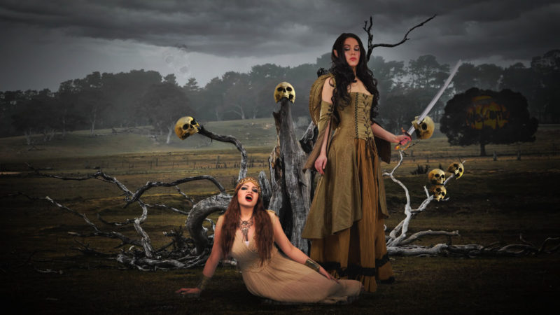 challenge-nov-2020-the-collector-by-dale-looft