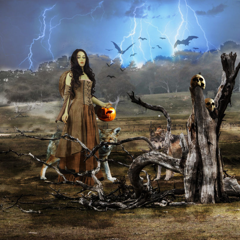 challenge-nov-2020-wayward-witch-by-barry-bourgault