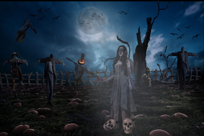 challenge-nov-2020-welcome-to-my-home-by-nancie-rowan