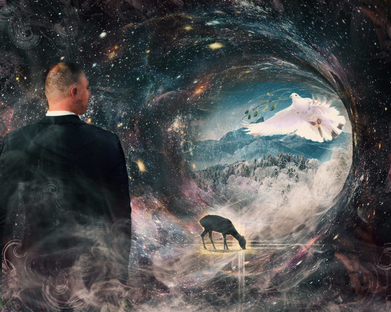 challenge-dec-2020-dreaming-of-freedom-by-karen-waalwyk