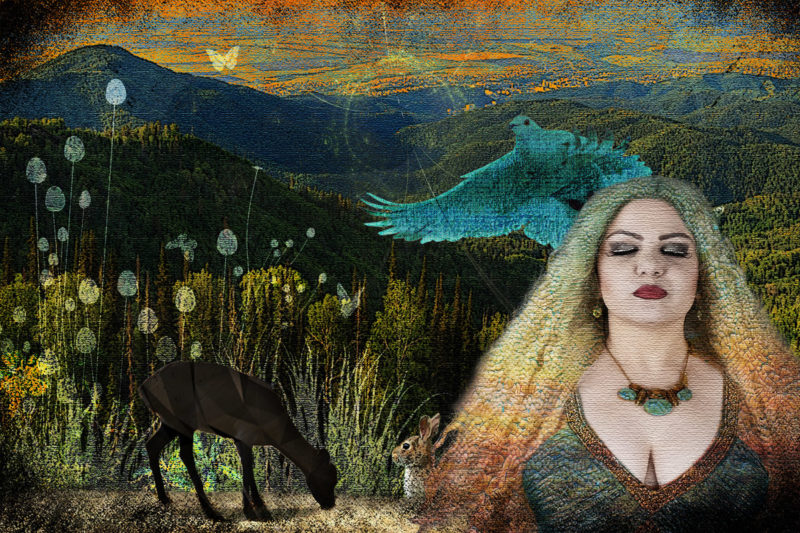 challenge-dec-2020-nature-by-susan-gravens