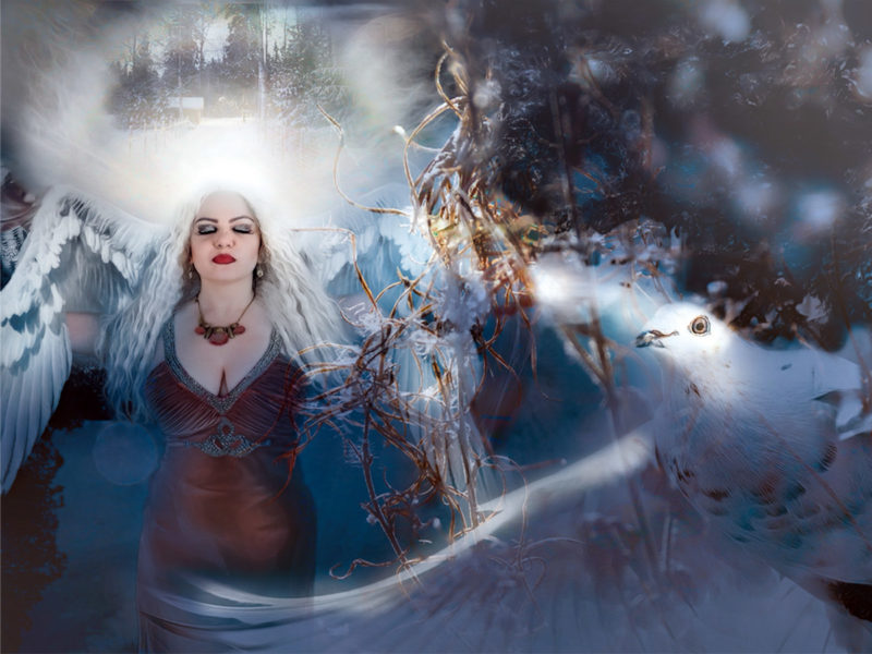 Visions of peace and home at Christmastime