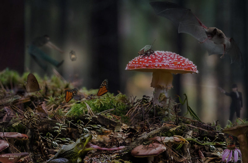 challenge-july-2021-a-killing-field-by-roger-webb