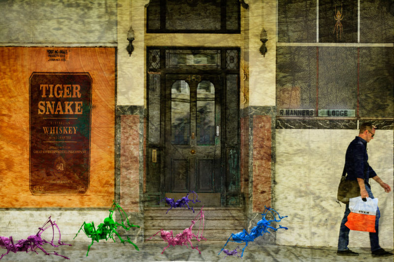 challenge-july-2021-ant-day-out-by-andrea-carter