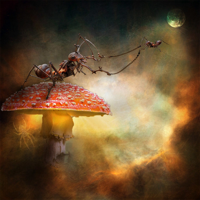 challenge-july-2021-ant-rescue-big-by-pauline-van-der-spuy