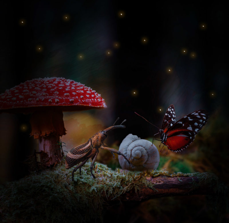 challenge-july-2021-anyone-there-by-dalia-gonzalez