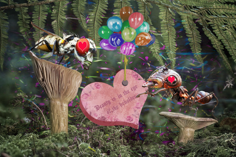 challenge-july-2021-beauty-is-in-the-eye-of-the-beholder-by-laurence-schiffman