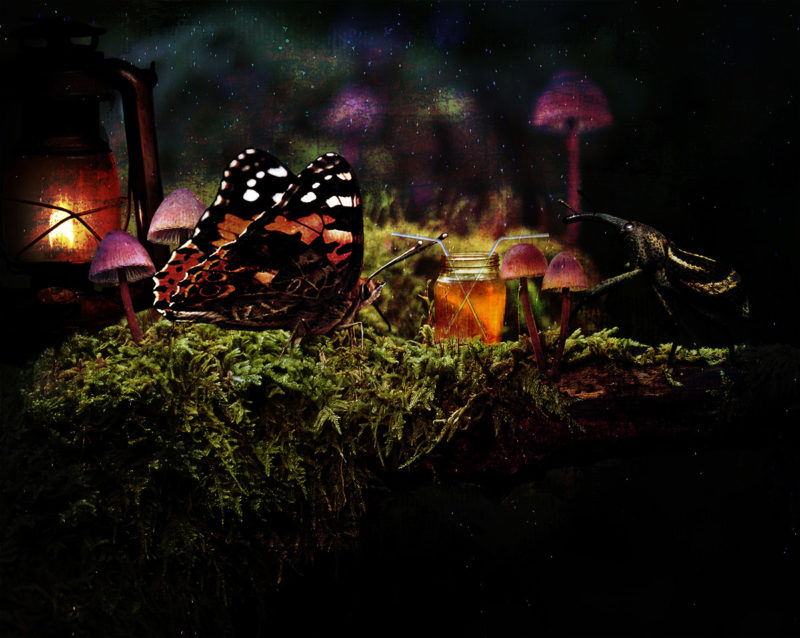 challenge-july-2021-blind-date-by-susan-gravens