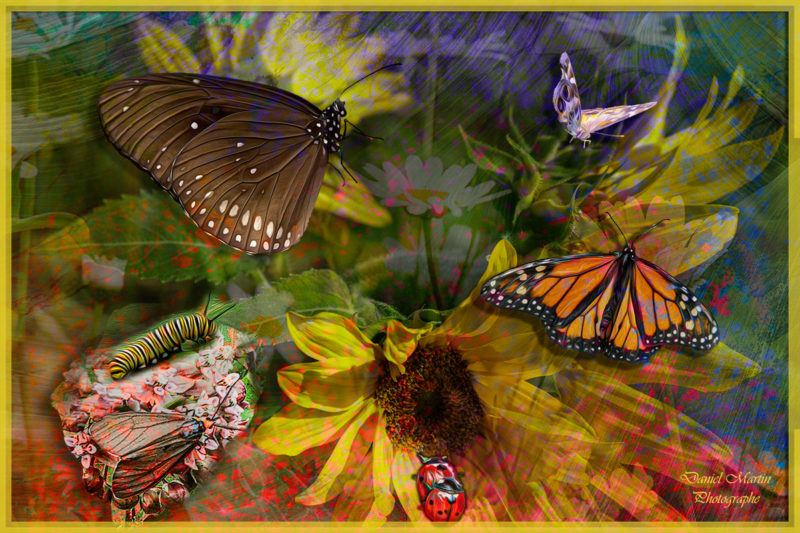 challenge-july-2021-bug’s-world-by-daniel-martin