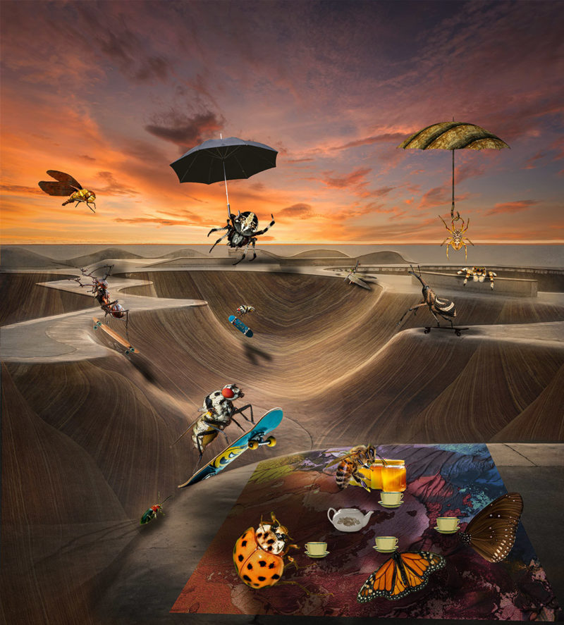 challenge-july-2021-easy-prey-by-prue-wright