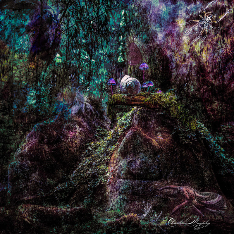 challenge-july-2021-hidden-insects-by-charlene-murphy