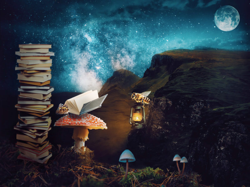 challenge-july-2021-illumination-by-beth-sheridan