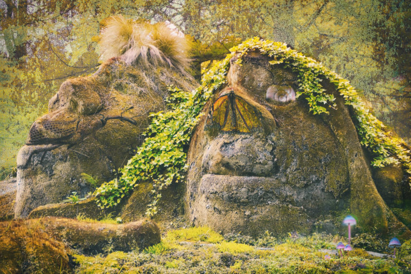 challenge-july-2021-insects-inside-art-by-adriana-goldfeld