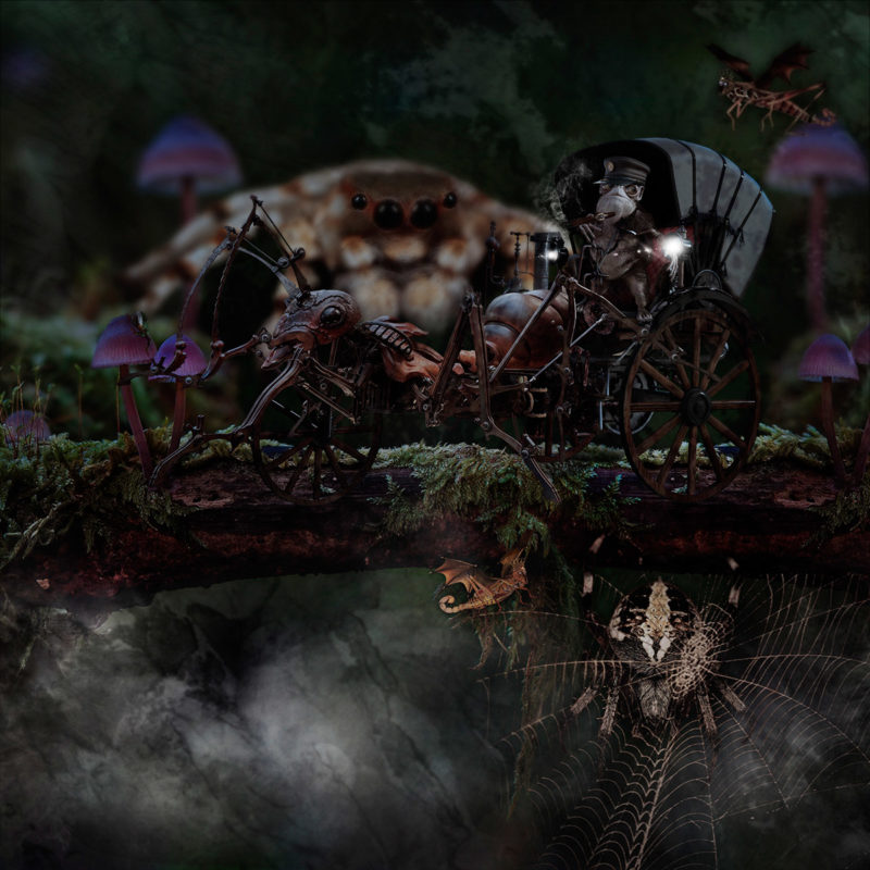 challenge-july-2021-into-the-dark-by-andre-billiau