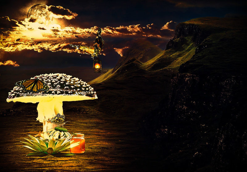 challenge-july-2021-it-s-a-buggy-evening-by-ernesto-vizcaino