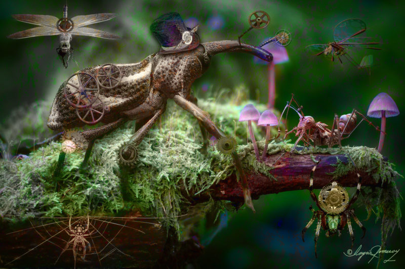 challenge-july-2021-it-s-a-steampunk-bug-s-life-by-ingrid-pomeroy