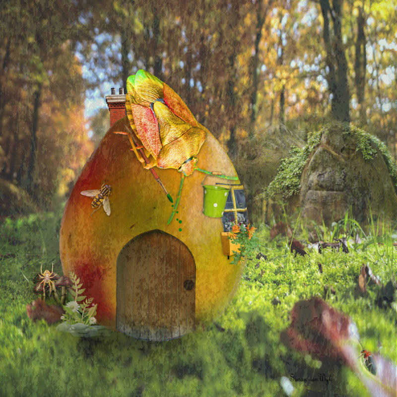 challenge-july-2021-it’s-a-bug’s-life-by-susan-van-wyk