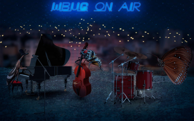 challenge-july-2021-jazz-ensemble-by-nancie-rowan