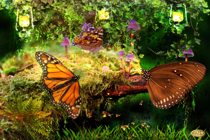 challenge-july-2021-la-guinguette-by-danielle-leleu