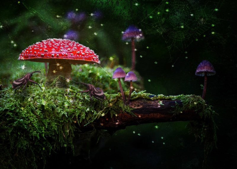 challenge-july-2021-linda-everhard-by-party-time