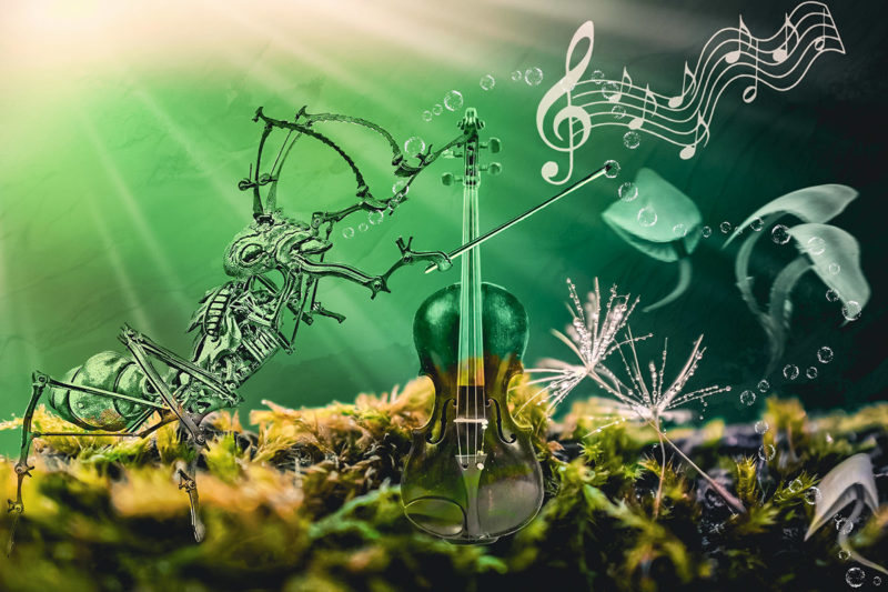 challenge-july-2021-music-makes-us-want-to-sing-and-dance-by-gaye-taylor