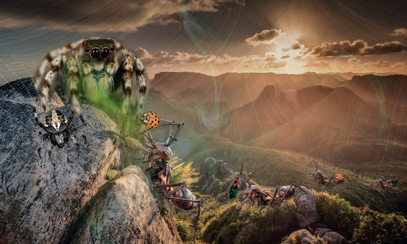 challenge-july-2021-offerings-to-queen-aachid-by-claude-trew