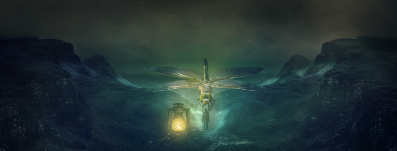 challenge-july-2021-the-acceptance-by-leanne-robson