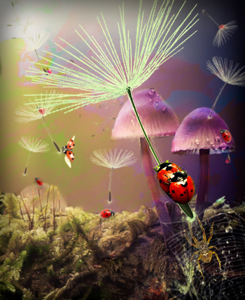 challenge-july-2021-the-great-escape-by-peggy-rushing