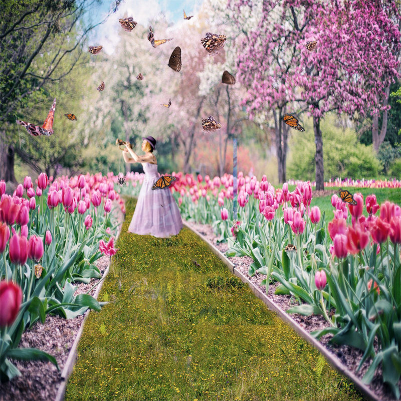 challenge-july-2021-the-pied-piper-by-jill-westernberg