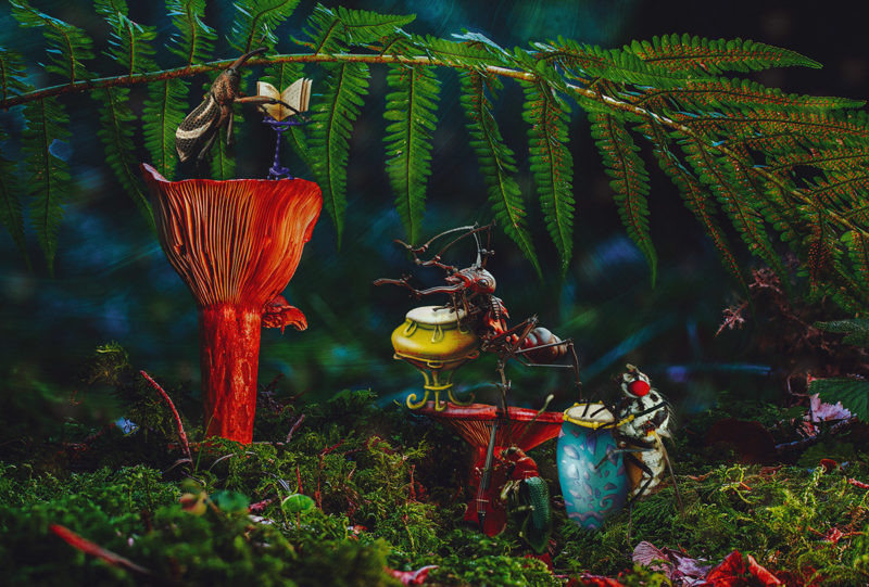 challenge-july-2021-the-sounds-of-the-evening-by-lou-ann-donahue