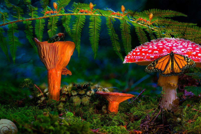 challenge-july-2021-working-by-frank-pizzani